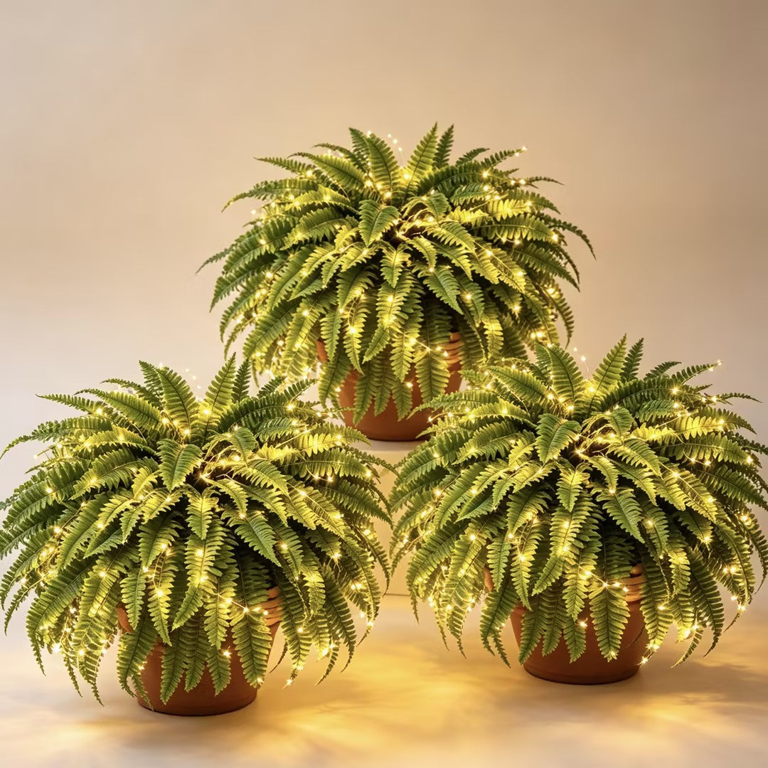 Last Day 49% OFF💛Glowing Boston Ferns with Lights – 🌿 Zero Watering, Zero Maintenance