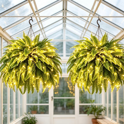 Last Day 49% OFF💛Glowing Boston Ferns with Lights – 🌿 Zero Watering, Zero Maintenance
