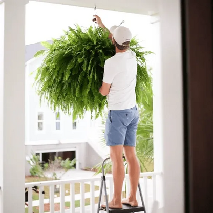 Last Day 49% OFF💛Glowing Boston Ferns with Lights – 🌿 Zero Watering, Zero Maintenance