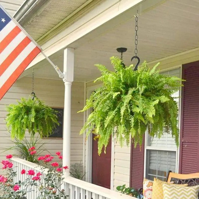 Last Day 49% OFF💛Glowing Boston Ferns with Lights – 🌿 Zero Watering, Zero Maintenance
